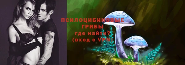 шишки Новый Уренгой