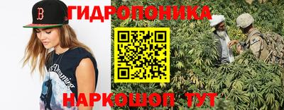 прущие грибы Ачхой-Мартан