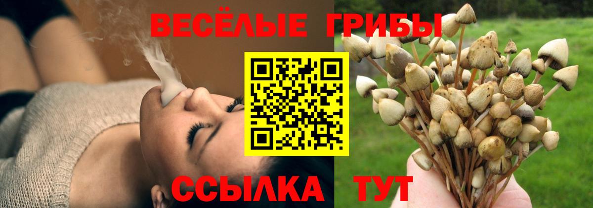 Псилоцибиновые грибы ЛСД Боровичи
